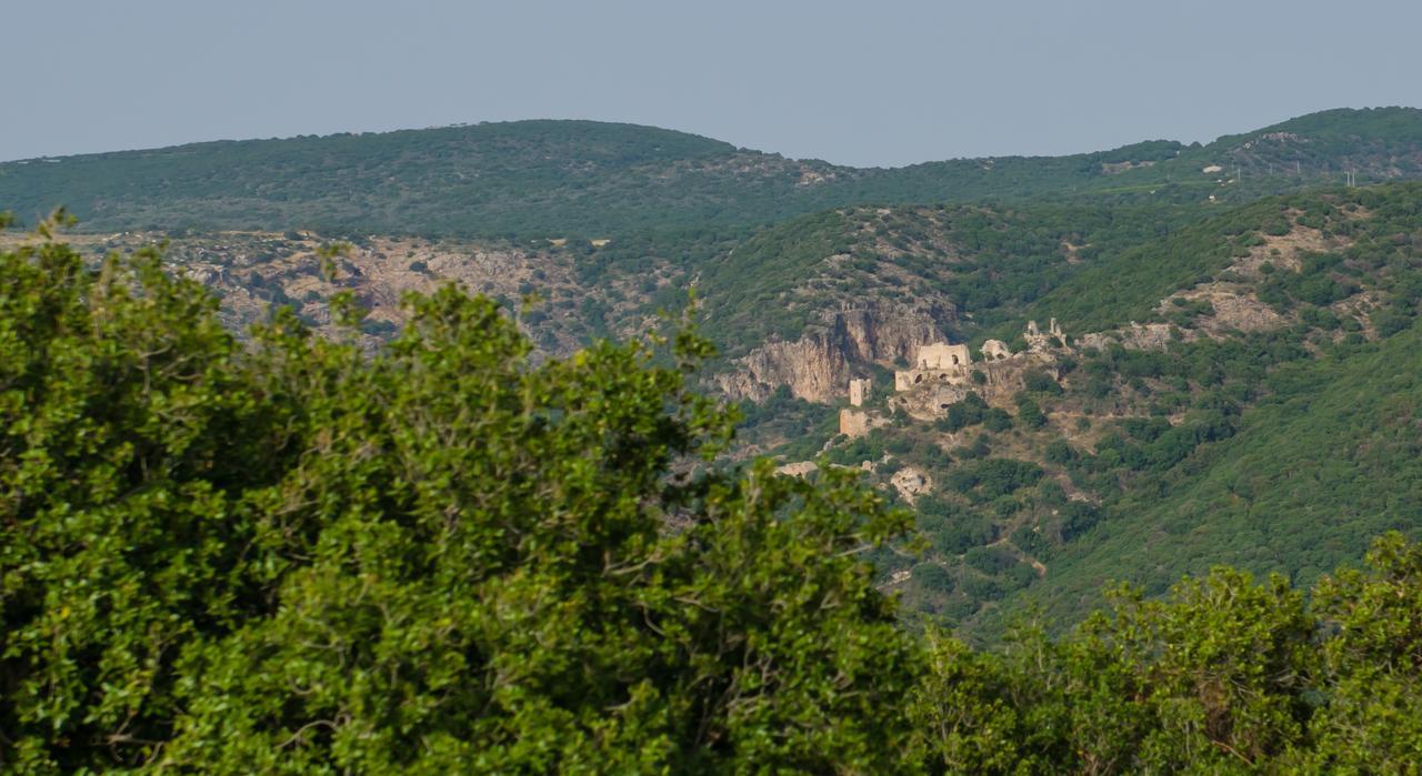 Tal Nof Cabins Villa Manot ภายนอก รูปภาพ