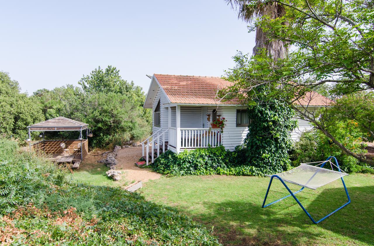 Tal Nof Cabins Villa Manot ภายนอก รูปภาพ