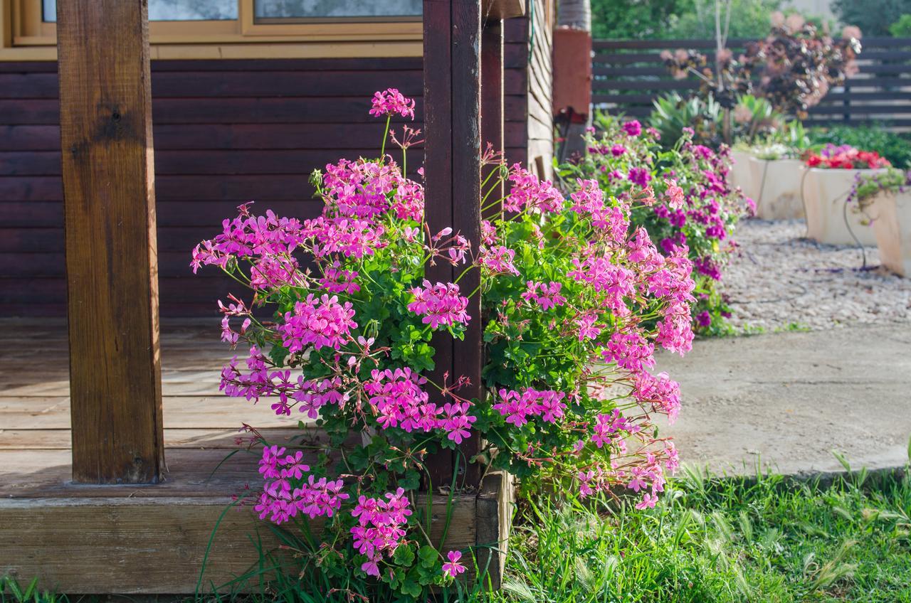 Tal Nof Cabins Villa Manot ภายนอก รูปภาพ
