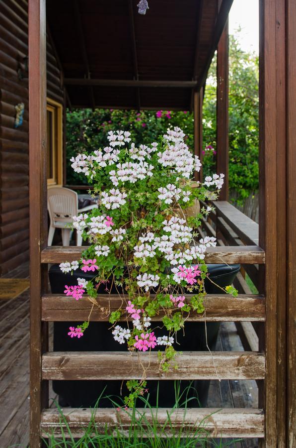 Tal Nof Cabins Villa Manot ภายนอก รูปภาพ